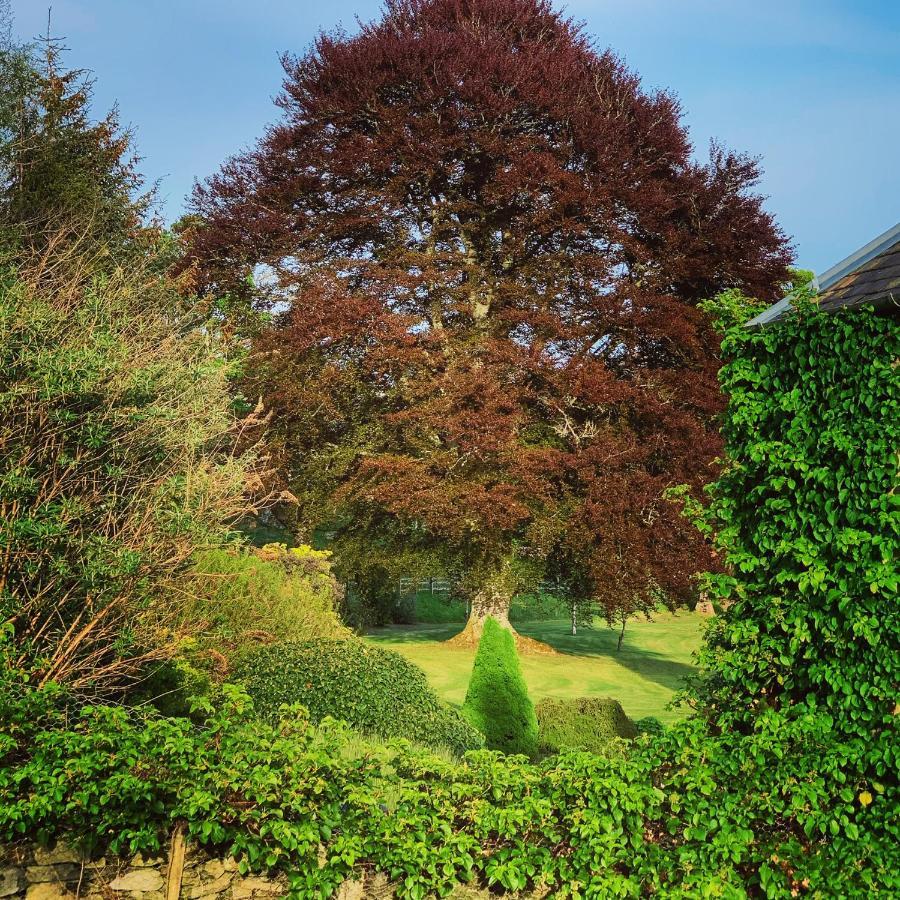 The Old Manse Of Blair, Boutique Hotel & Michelin Restaurant Blair Atholl Bagian luar foto